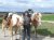 Weitwanderreiter_Matzer